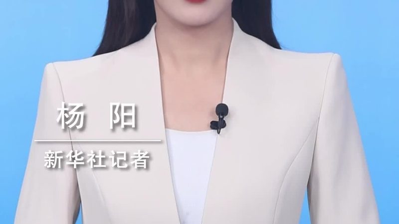 科技公司年检新标准：2024版解读与应对策略**